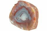Colorful, Polished Patagonia Agate - Highly Fluorescent! #214917-1